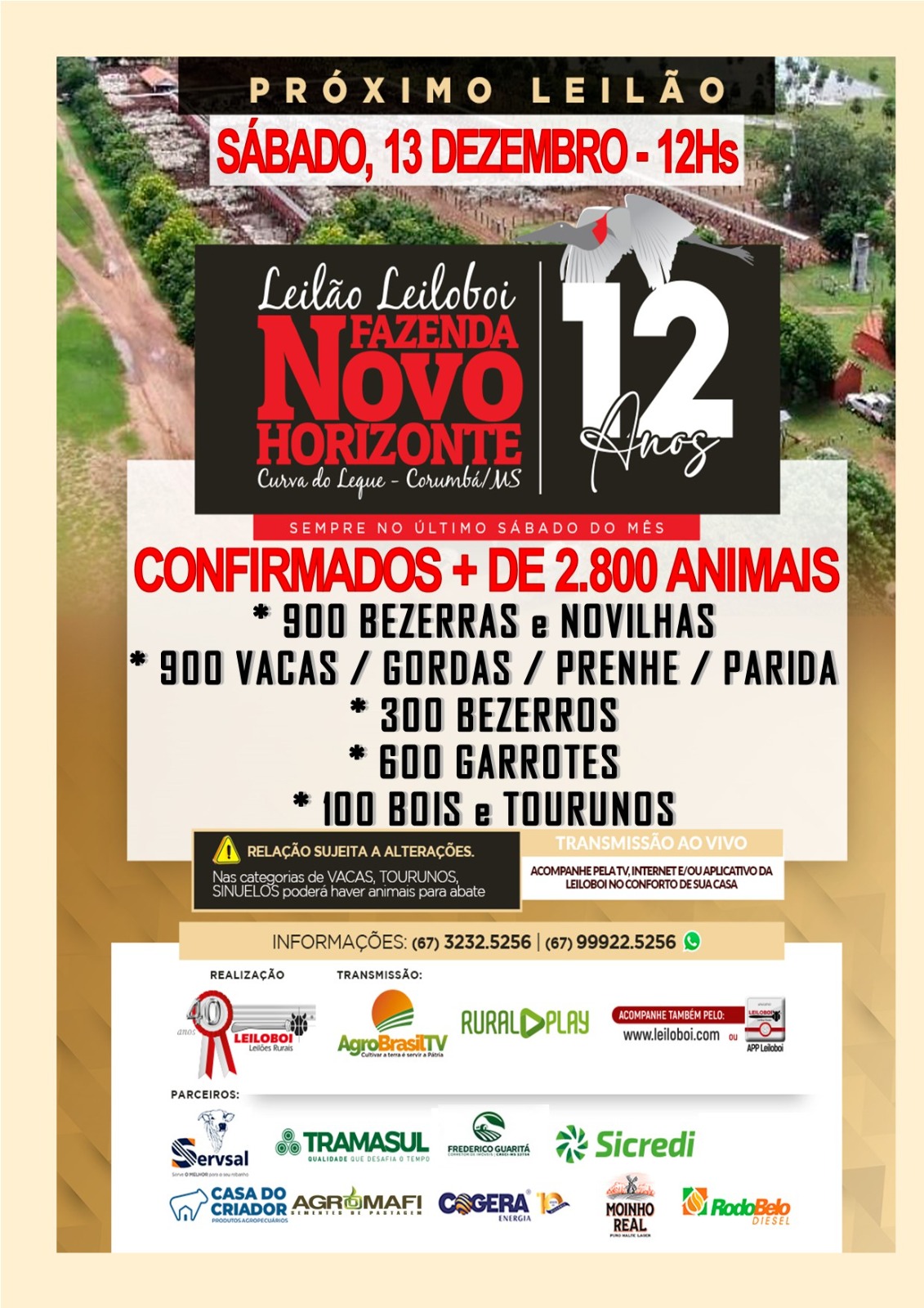 149º Leilão Leiloboi Fazenda Novo Horizonte