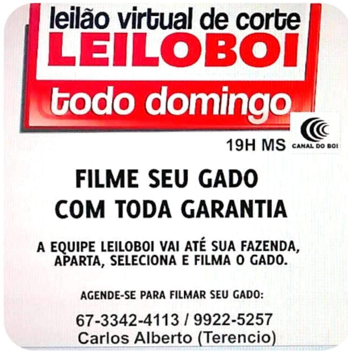 LEILÃO LEILOBOI VIRTUL DE CORTE