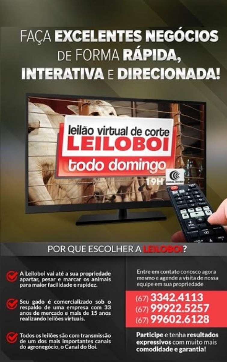 LEILÃO LEILOBOI VIRTUAL DE CORTE