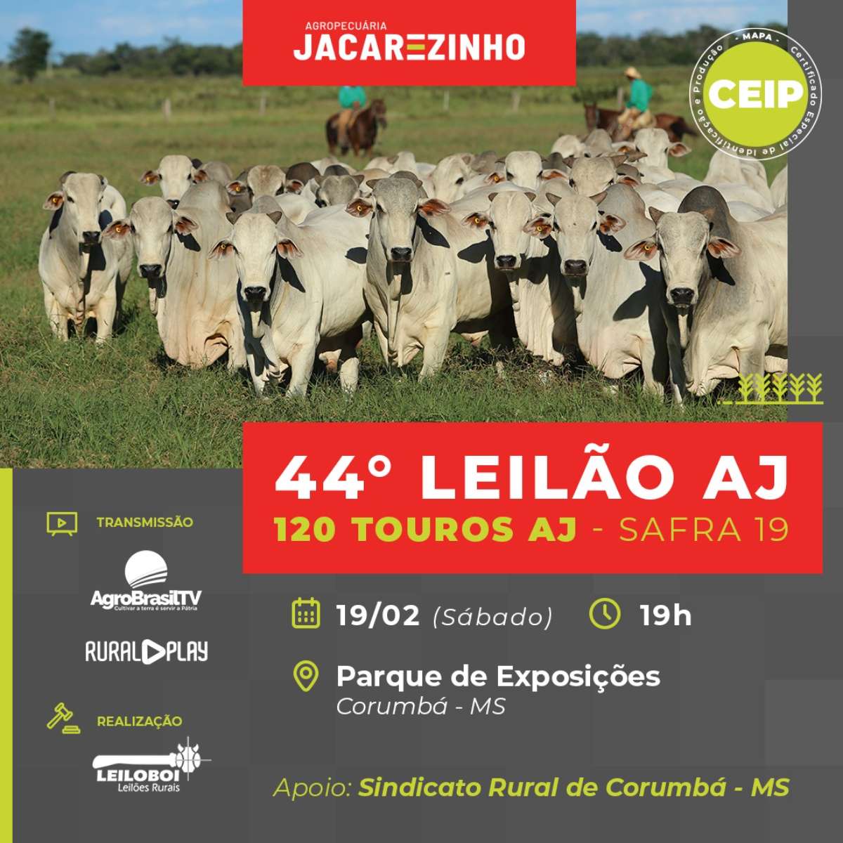 44º LEILÃO TOUROS AGROPECUÁRIA JACAREZINHO