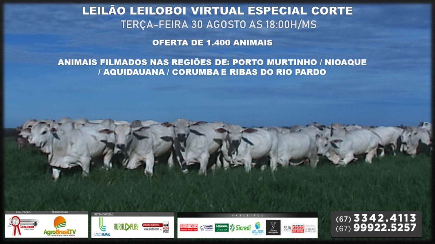 LEILÃO LEILOBOI ESPECIAL VIRTUAL CORTE