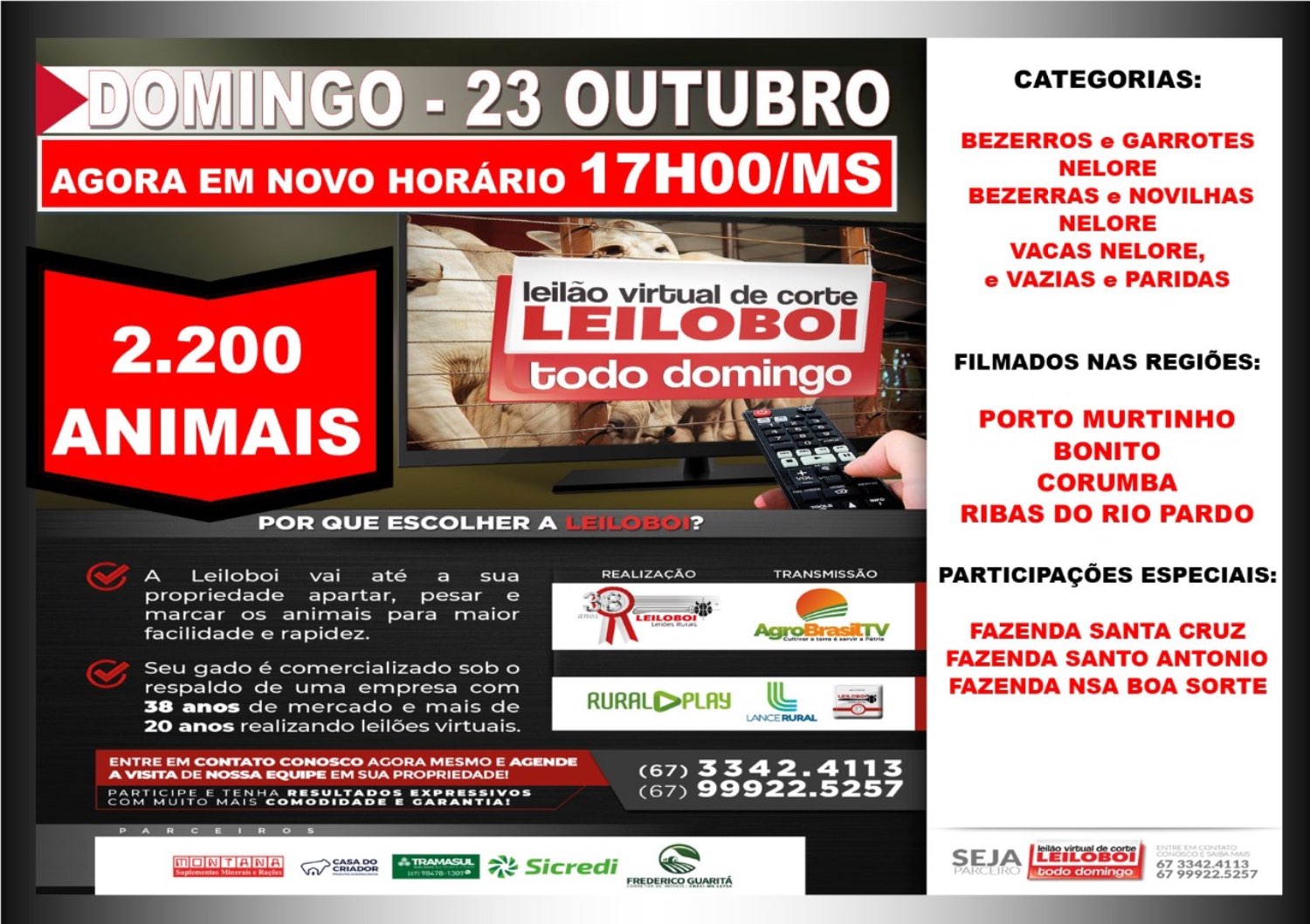 LEILÃO LEILOBOI VIRTUAL DE CORTE