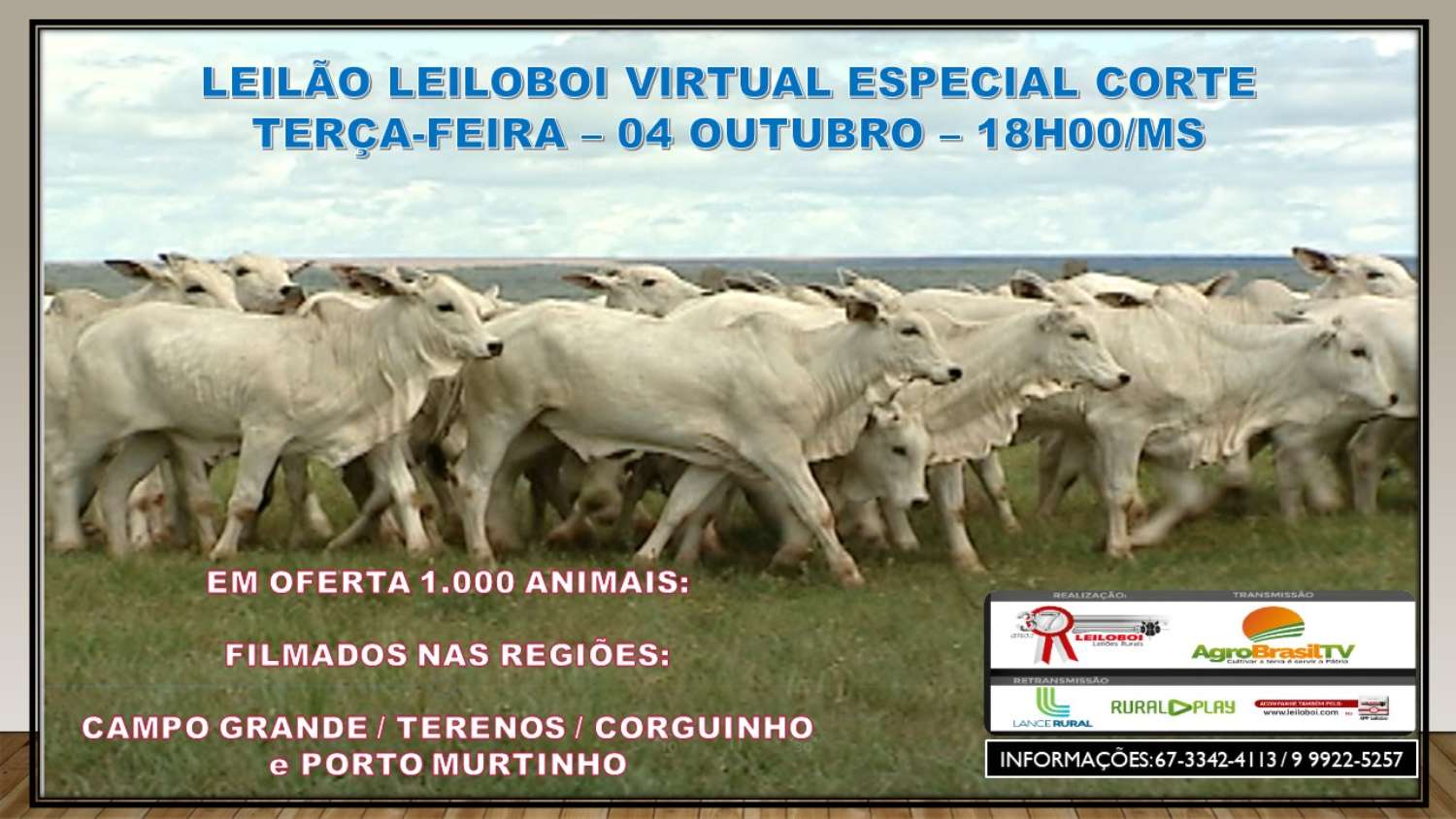 LEILÃO LEILOBOI VIRTUAL ESPECIAL CORTE