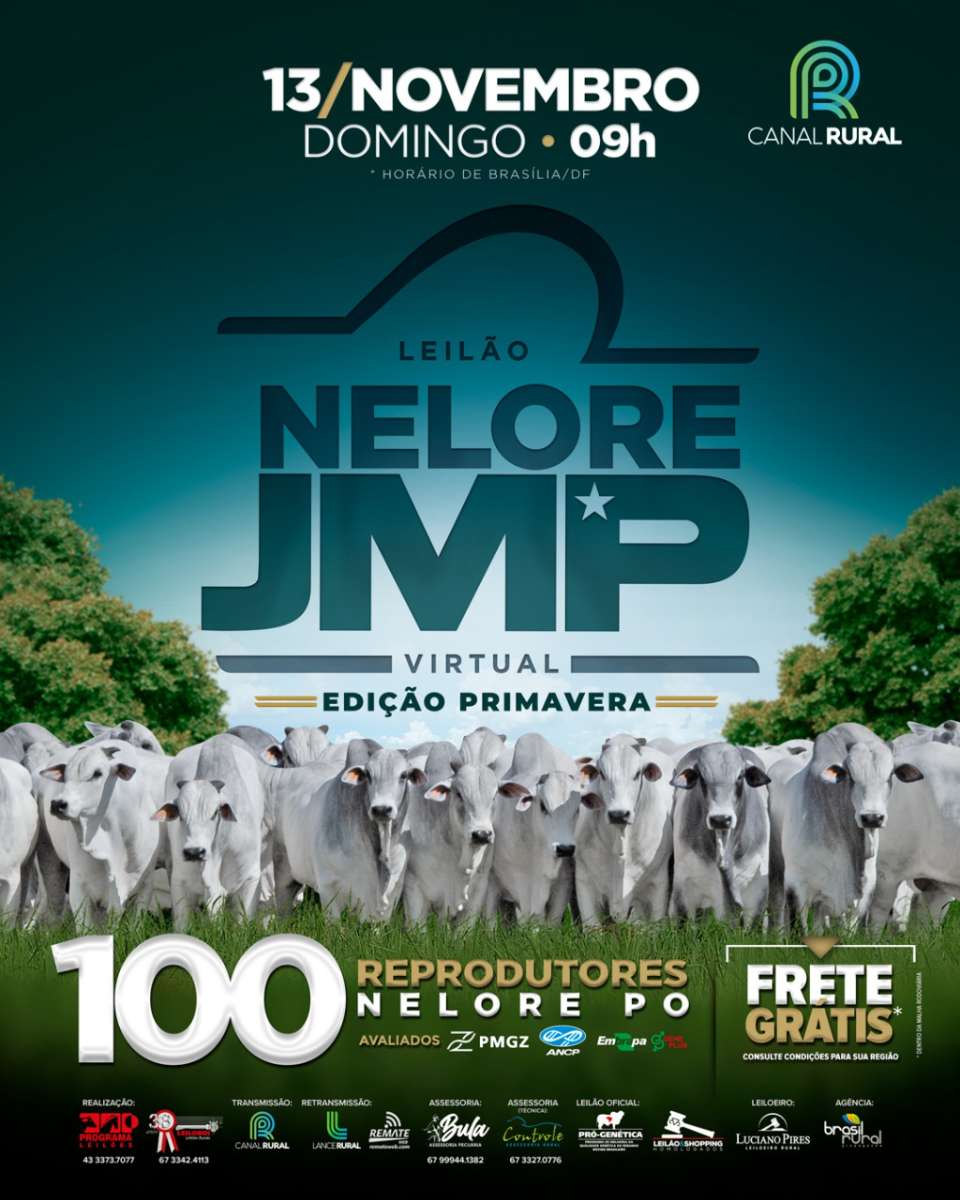 LEILAO NELORE JMP - VIRTUAL EDIÇÃO PRIMAVERA