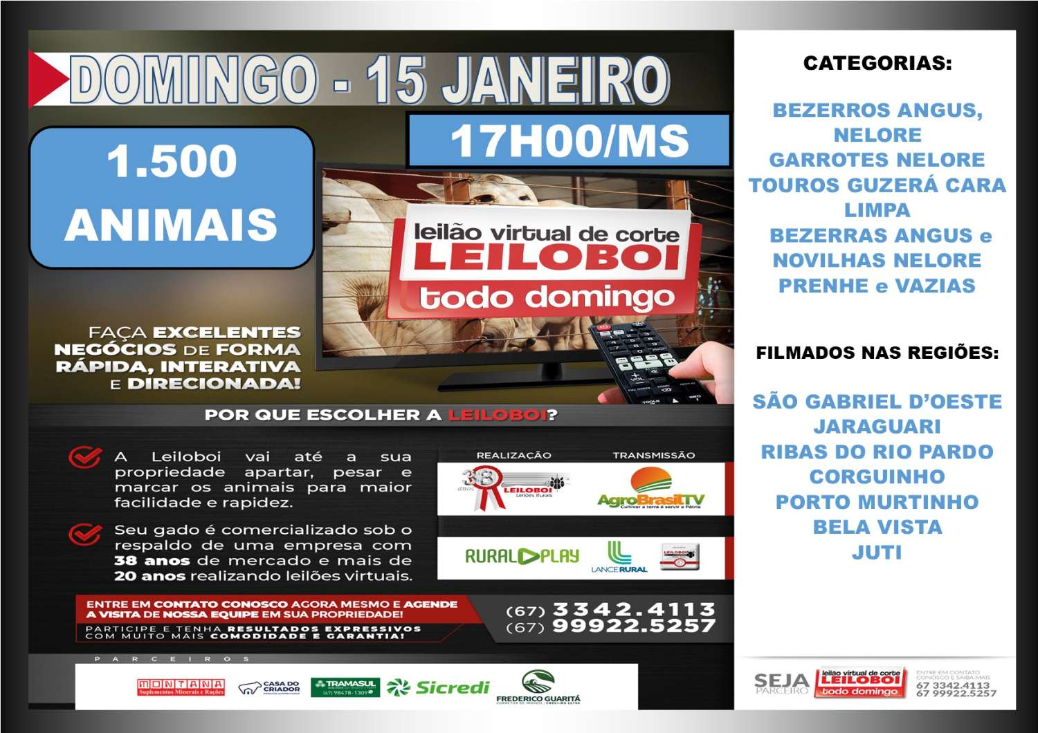 LEILÃO LEILOBOI VIRTUAL DE CORTE