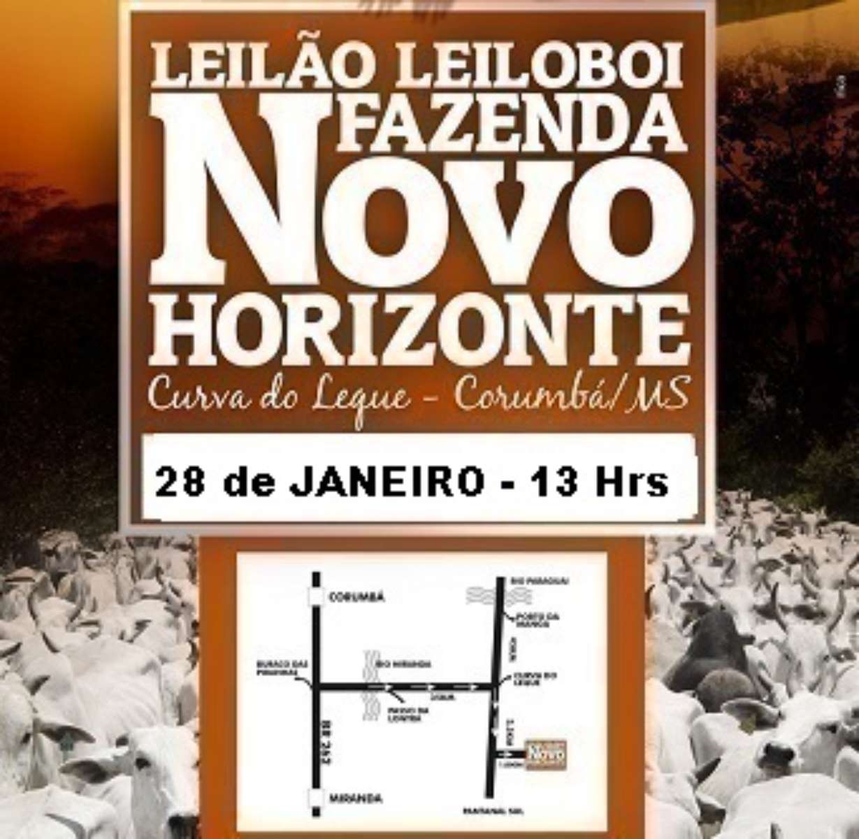 114º Leilão Leiloboi Fazenda Novo Horizonte - ANO 2023