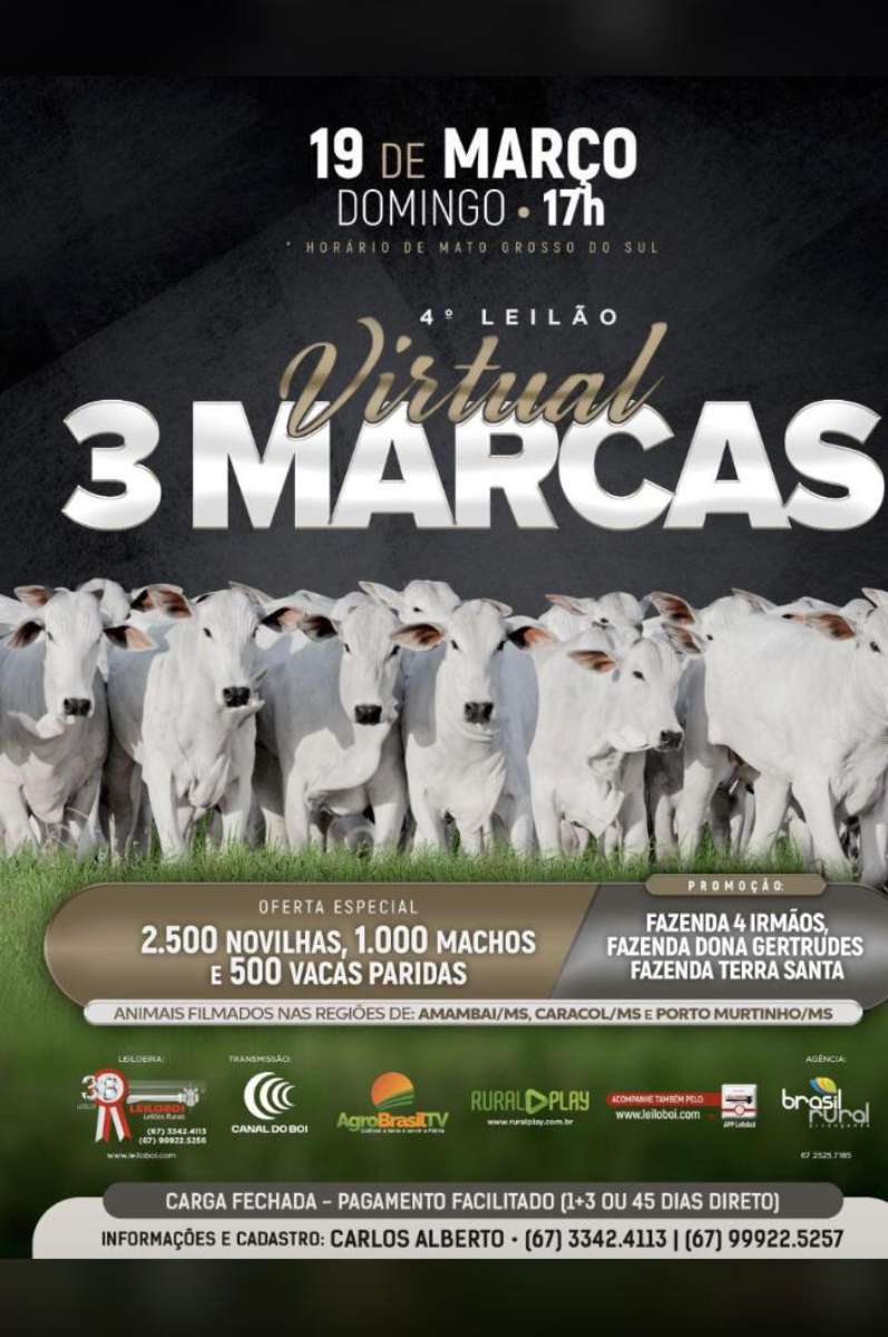 4º LEILÃO VIRTUAL 3 MARCAS