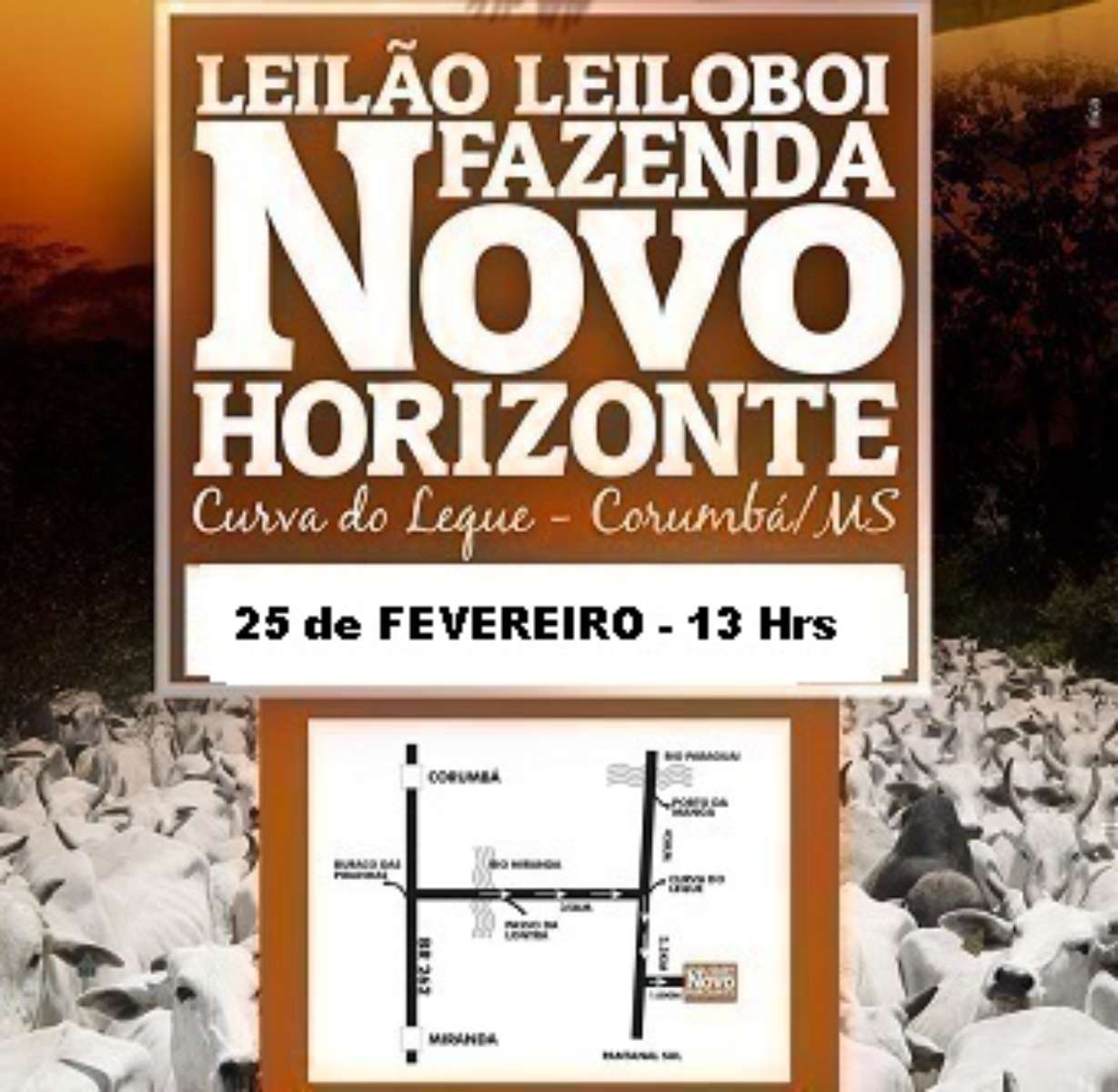 115º Leilão Leiloboi Fazenda Novo Horizonte