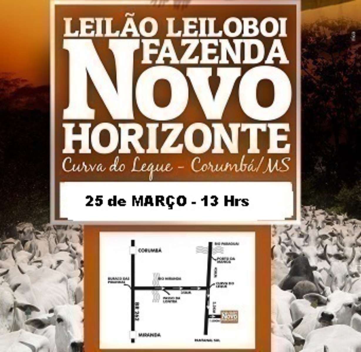 116º Leilão Leiloboi Fazenda Novo Horizonte