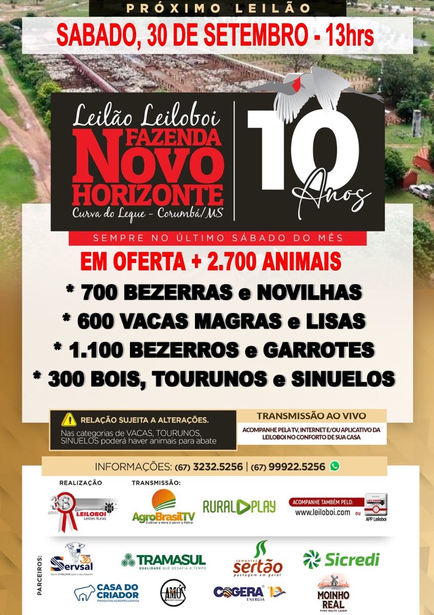 122º Leilão Leiloboi Fazenda Novo Horizonte