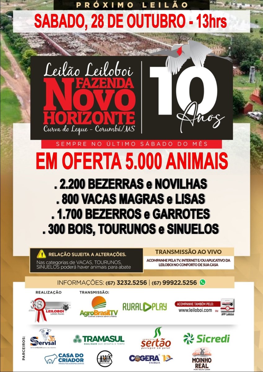 123º Leilão Leiloboi Fazenda Novo Horizonte