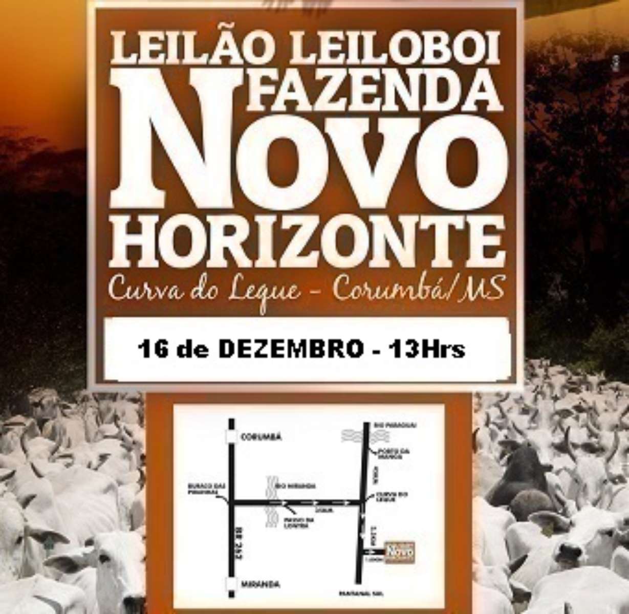 125º Leilão Leiloboi Fazenda Novo Horizonte