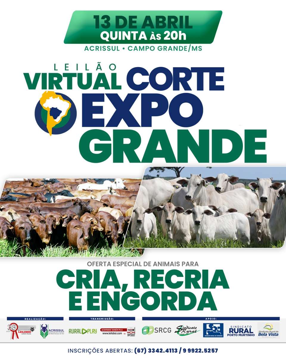 LEILÃO VIRTUAL CORTE - EXPOGRANDE 2023