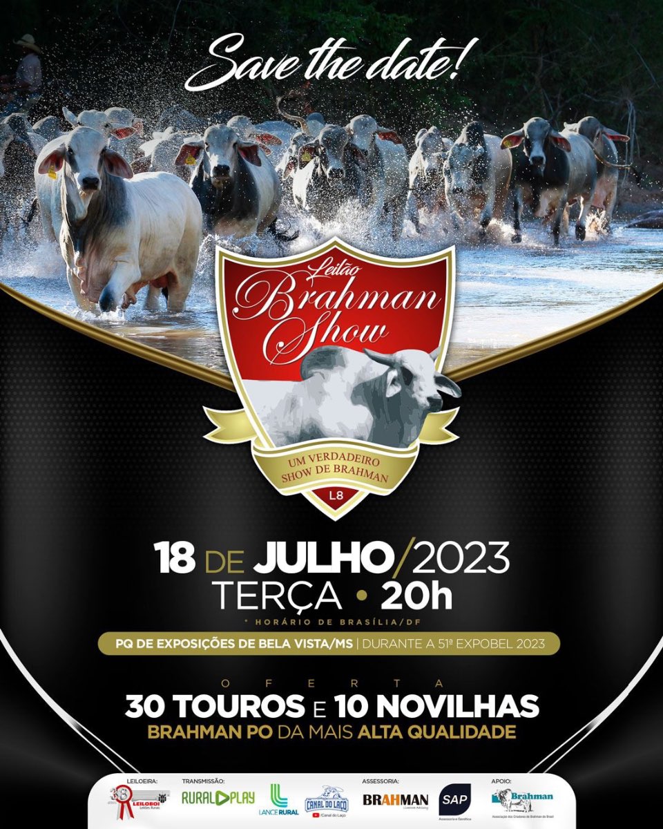 LEILÃO BRAHMAN SHOW - EXPOBEL 2023