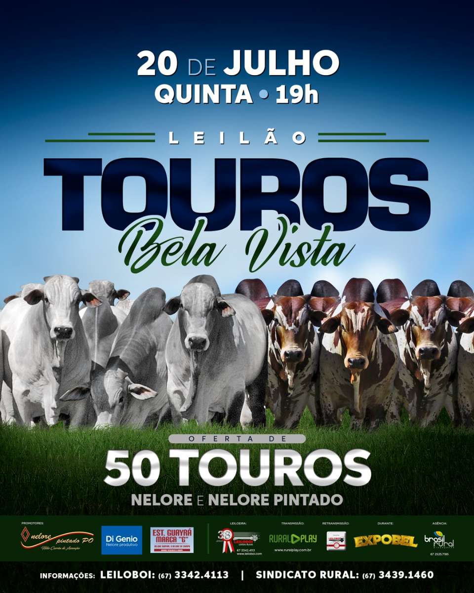 LEILÃO TOUROS DE BELA VISTA - EXPOBEL 2023