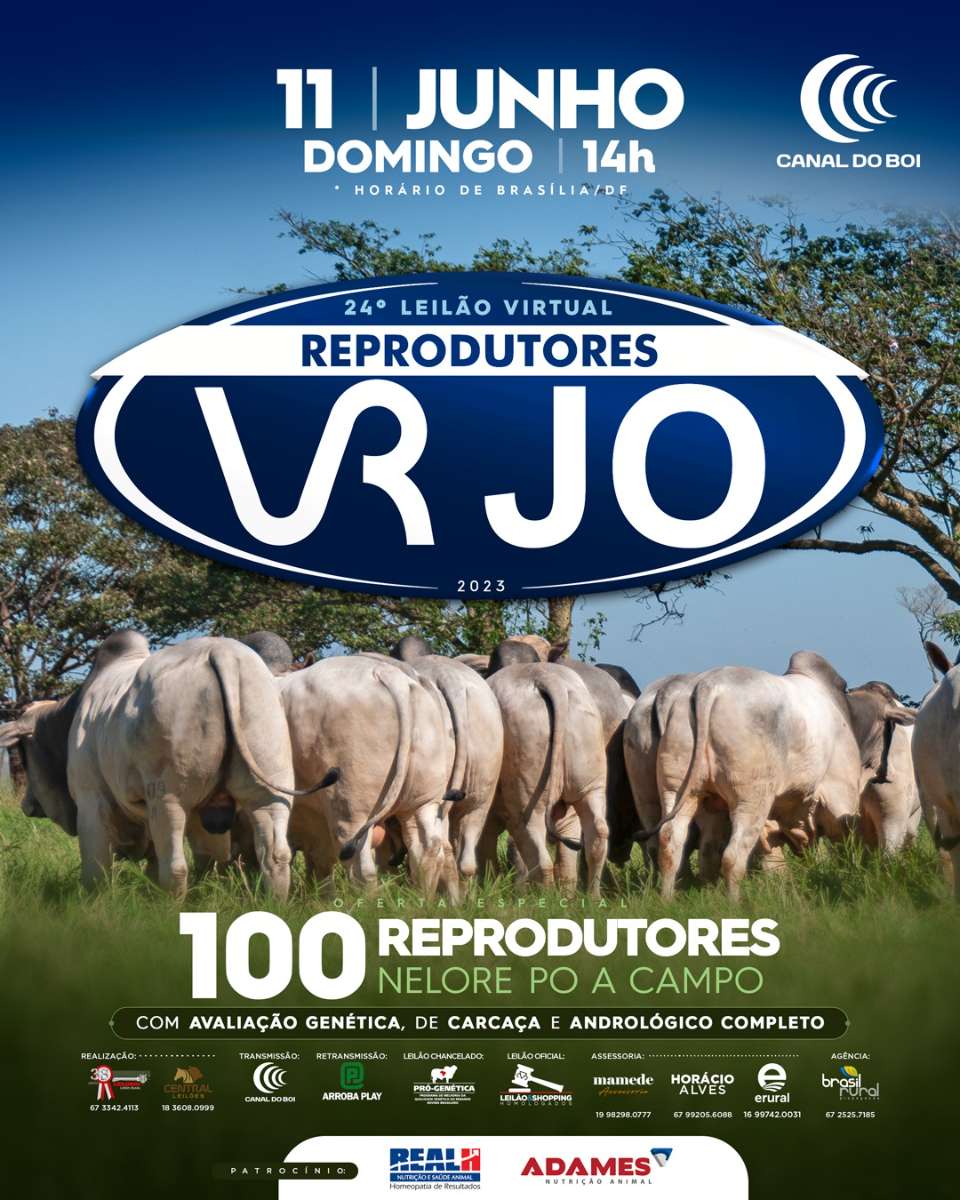 24º LEILÃO VIRTUAL REPRODUTORES VRJO 