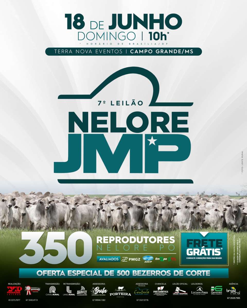 7º LEILÃO NELORE JMP - CAMPO GRANDE/MS