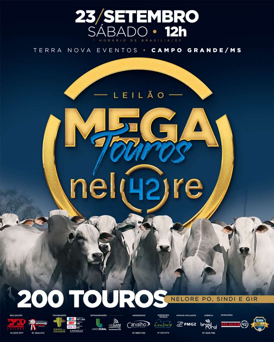 LEILÃO MEGA TOUROS NELORE 42