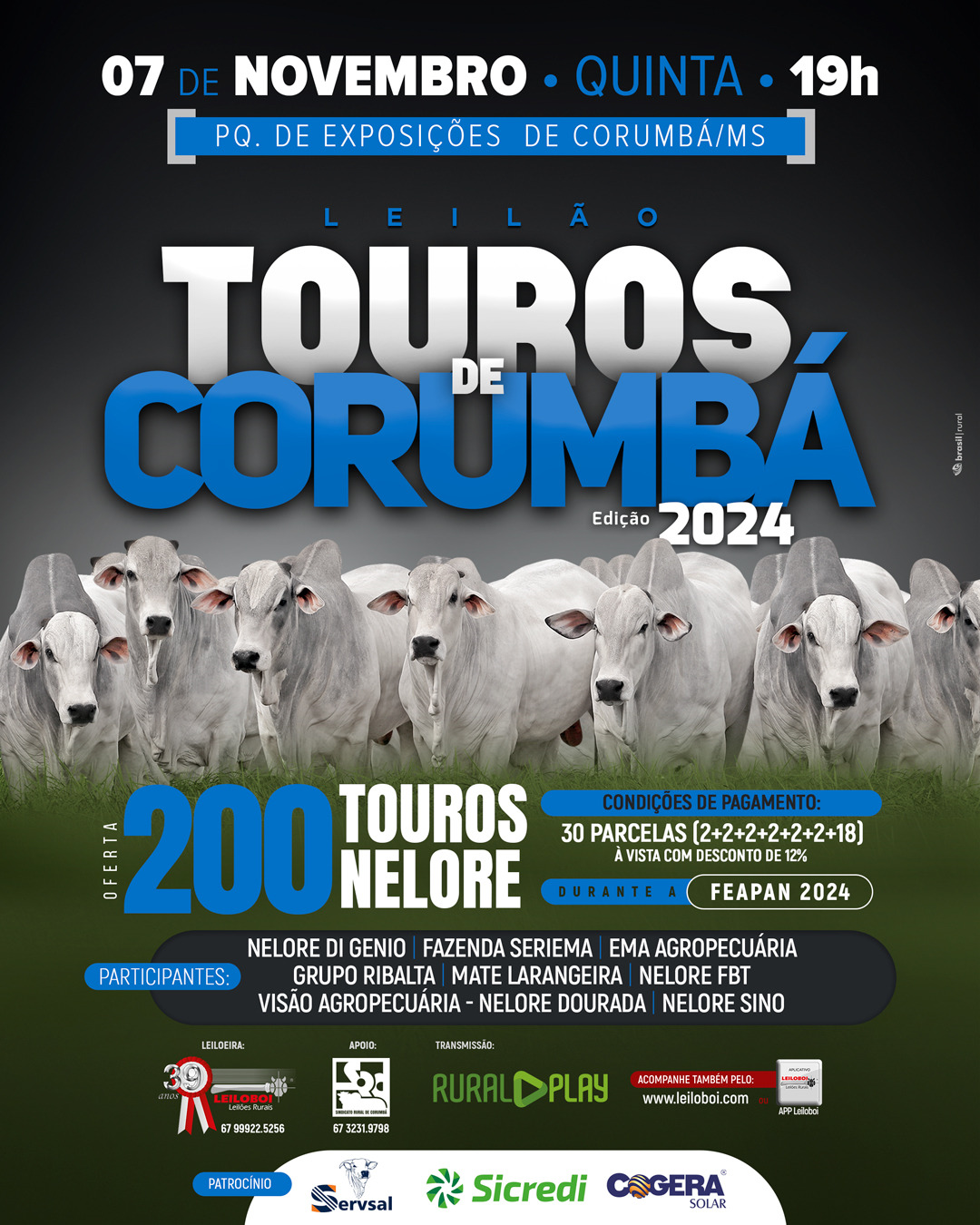 LEILÃO 200 TOUROS DE CORUMBA - FEAPAN 2024