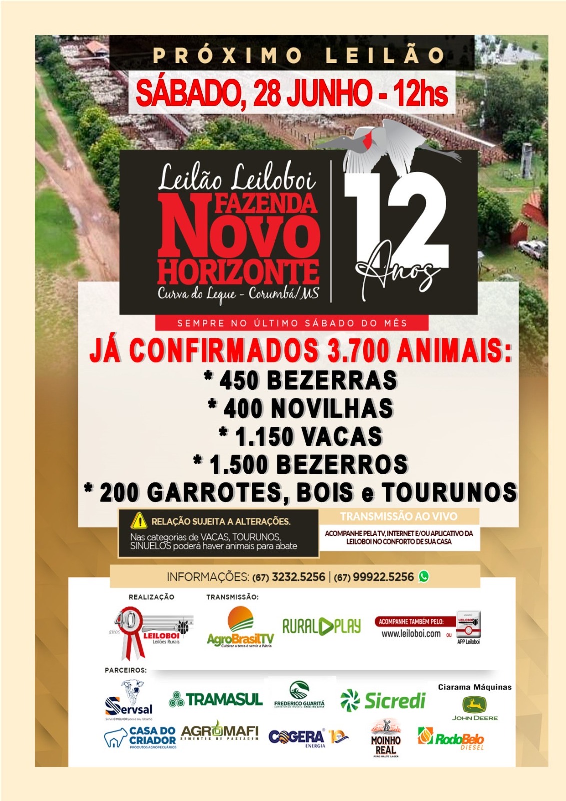 143º Leilão Leiloboi Fazenda Novo Horizonte