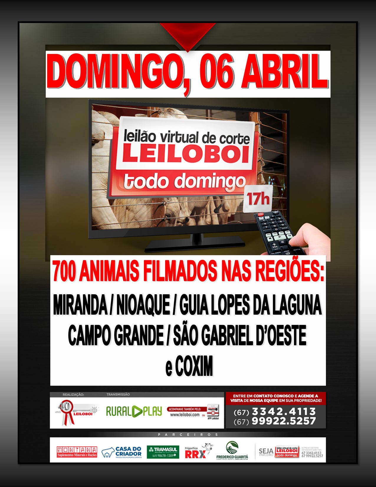 LEILÃO LEILOBOI VIRTUAL DE CORTE