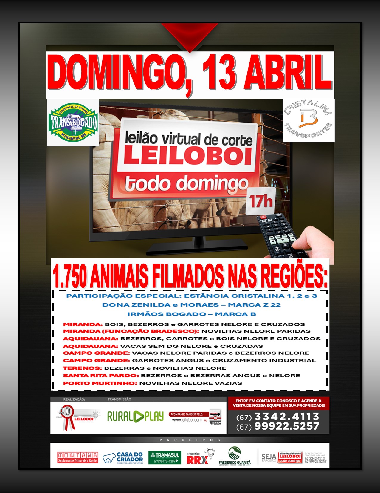 LEILÃO LEILOBOI VIRTUAL DE CORTE