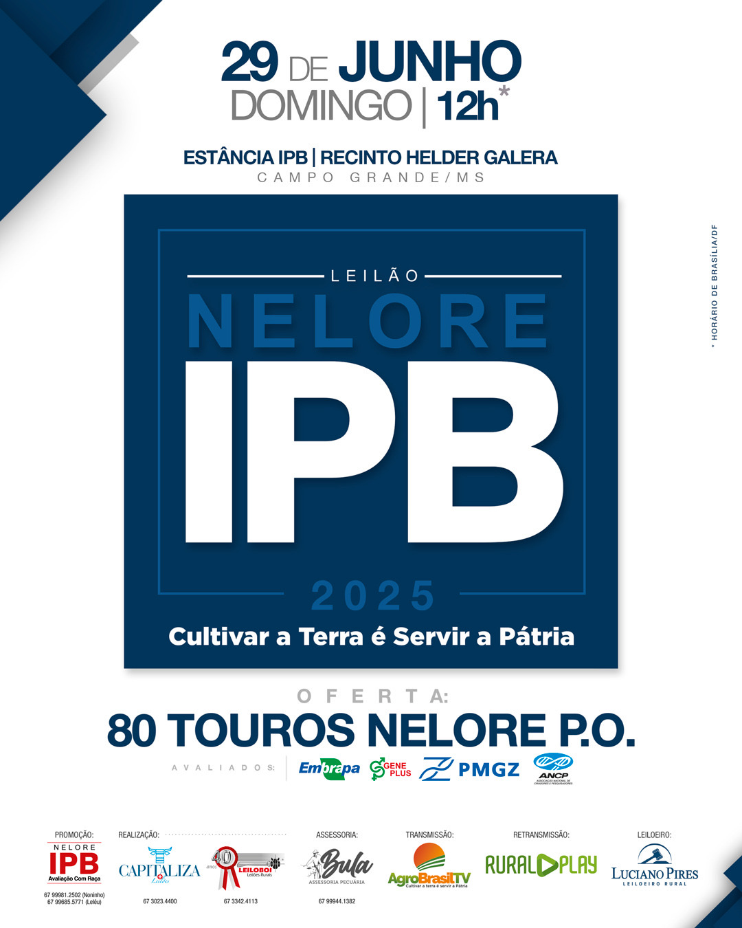 LEILÃO NELORE IPB 2025 - CAMPO GRANDE/MS