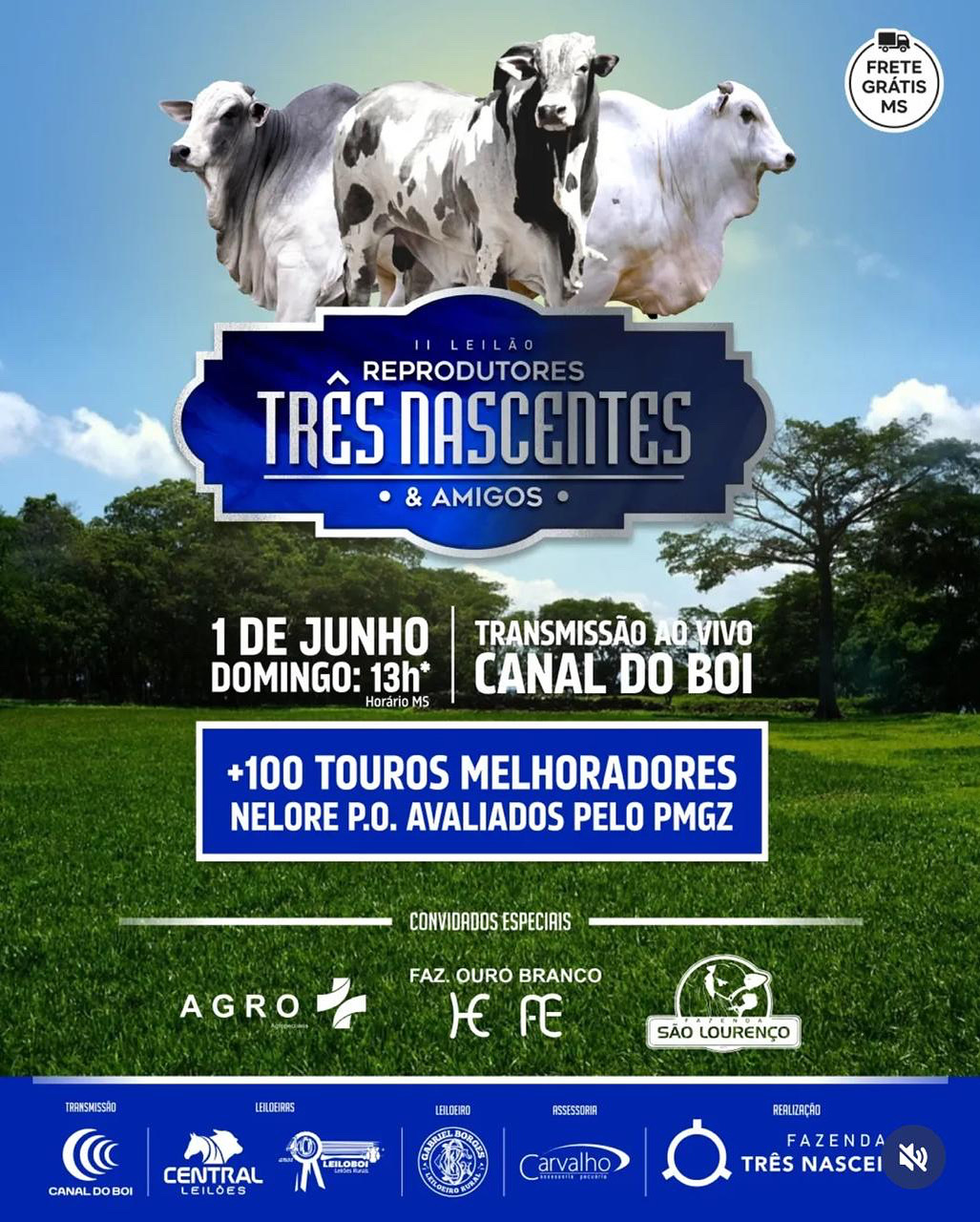 LEILÃO REPRODUTORES 3 NASCENTES E CONVIDADOS - CAMPO GRANDE/MS