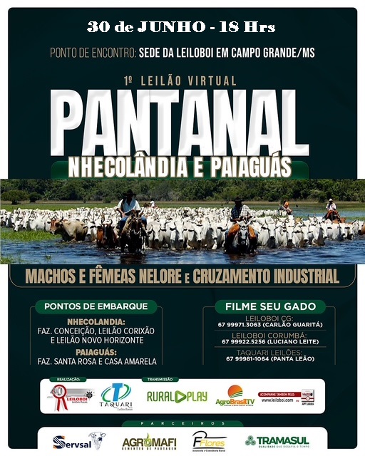 2º LEILÃO VIRTUAL PANTANAL DA NHÊCOLANDIA E PAIAGUAS 