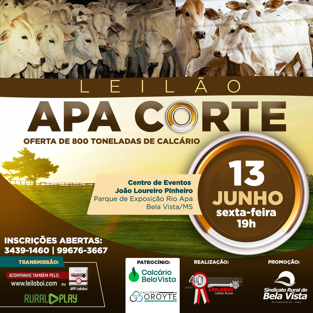 LEILAO APA CORTE - BELA VISTA/MS