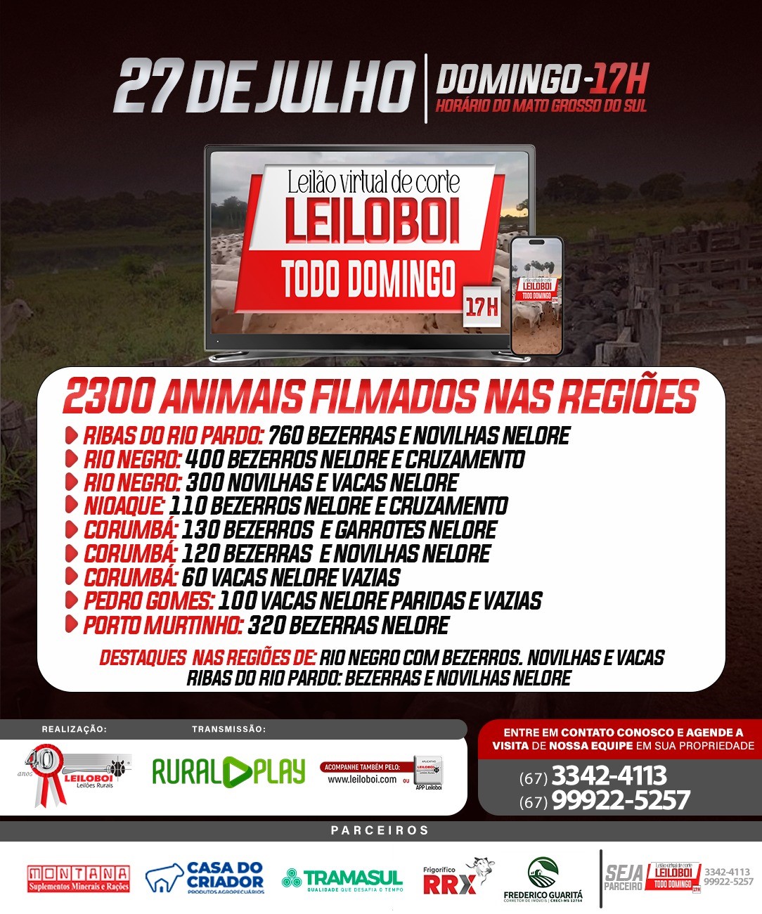 LEILÃO LEILOBOI VIRTUAL DE CORTE