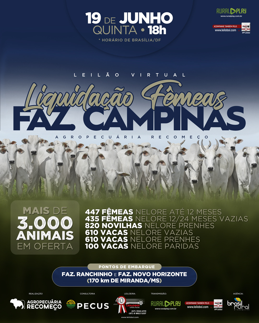 LEILÃO VIRTUAL LIQUIDAÇÃO FEMEAS FAZ. CAMPINAS