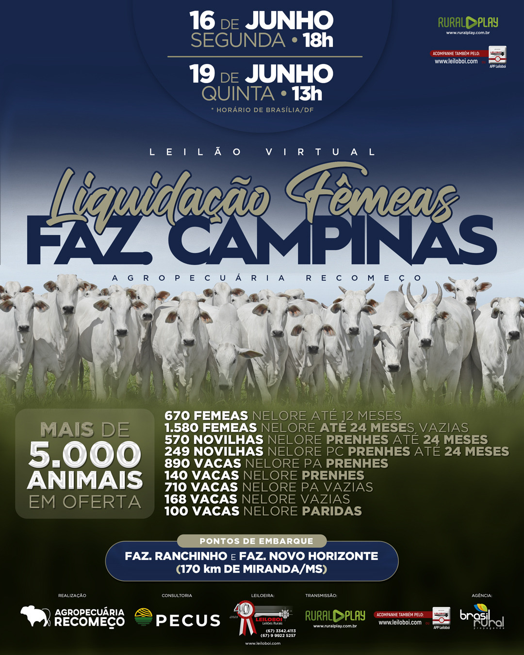 LEILÃO VIRTUAL LIQUIDAÇÃO FEMEAS FAZ. CAMPINAS