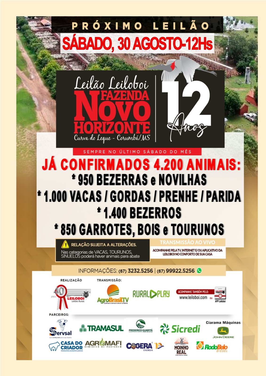 145º Leilão Leiloboi Fazenda Novo Horizonte
