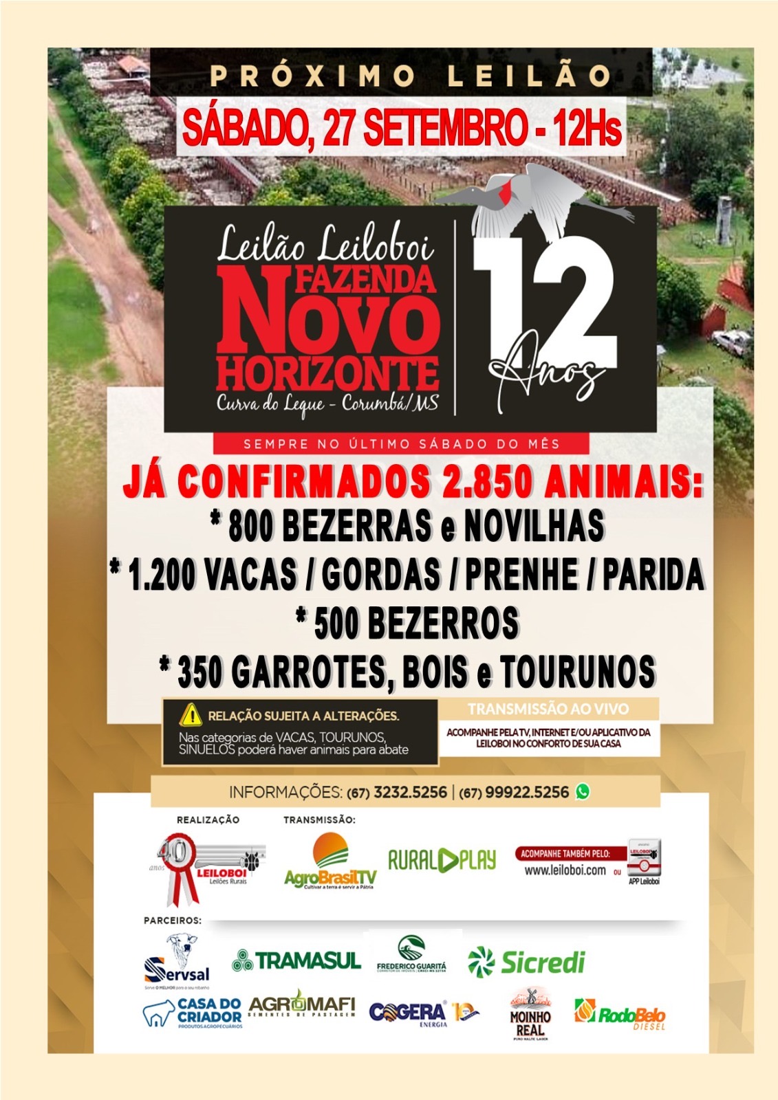 146º Leilão Leiloboi Fazenda Novo Horizonte