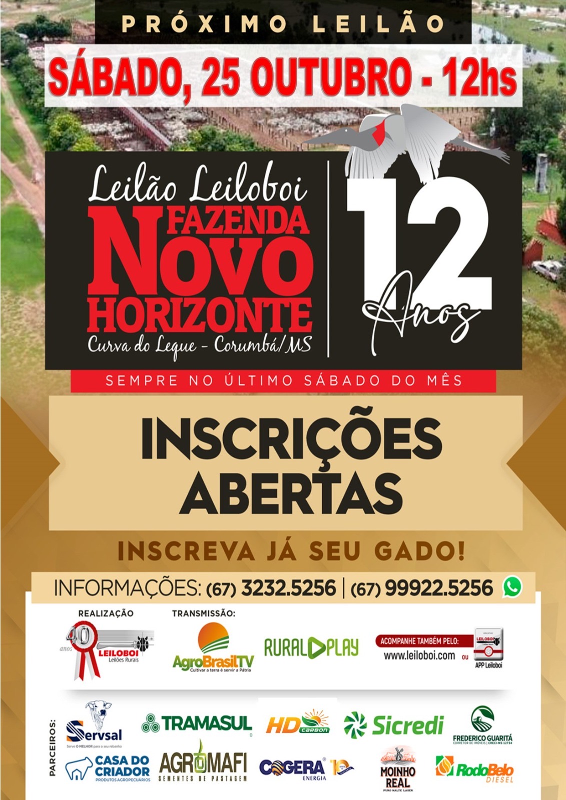 147º Leilão Leiloboi Fazenda Novo Horizonte