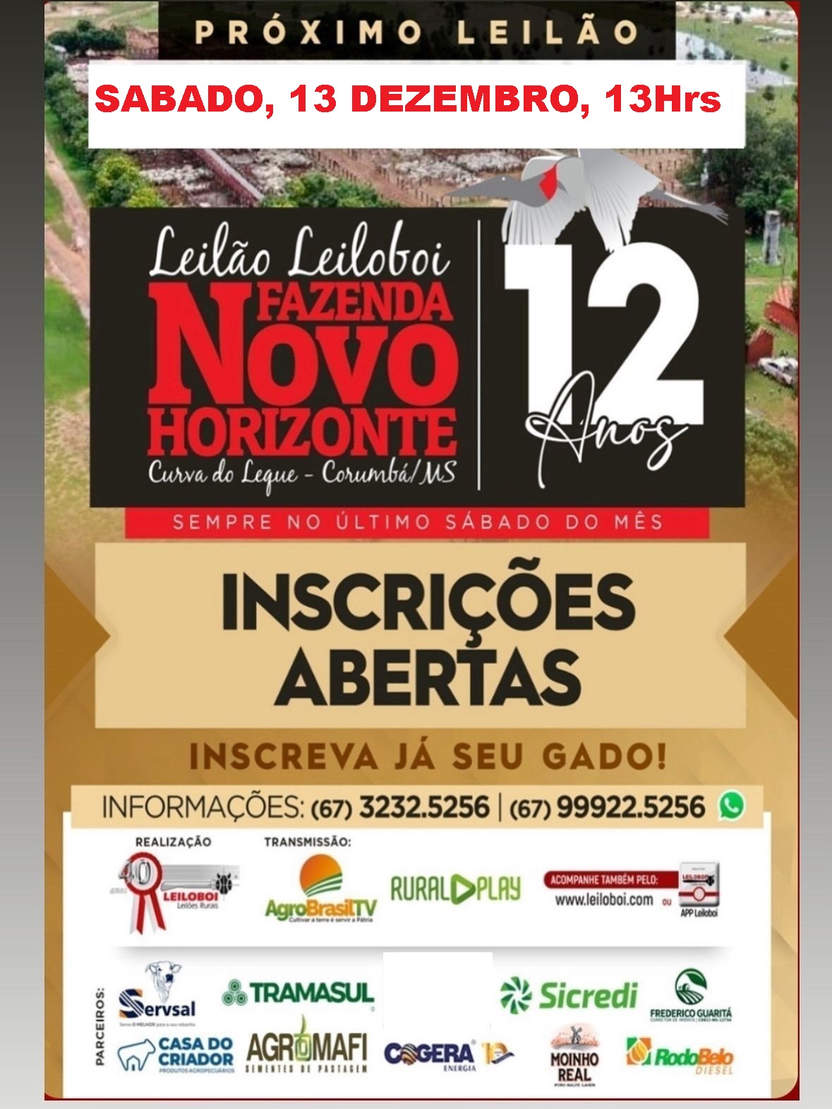 149º Leilão Leiloboi Fazenda Novo Horizonte