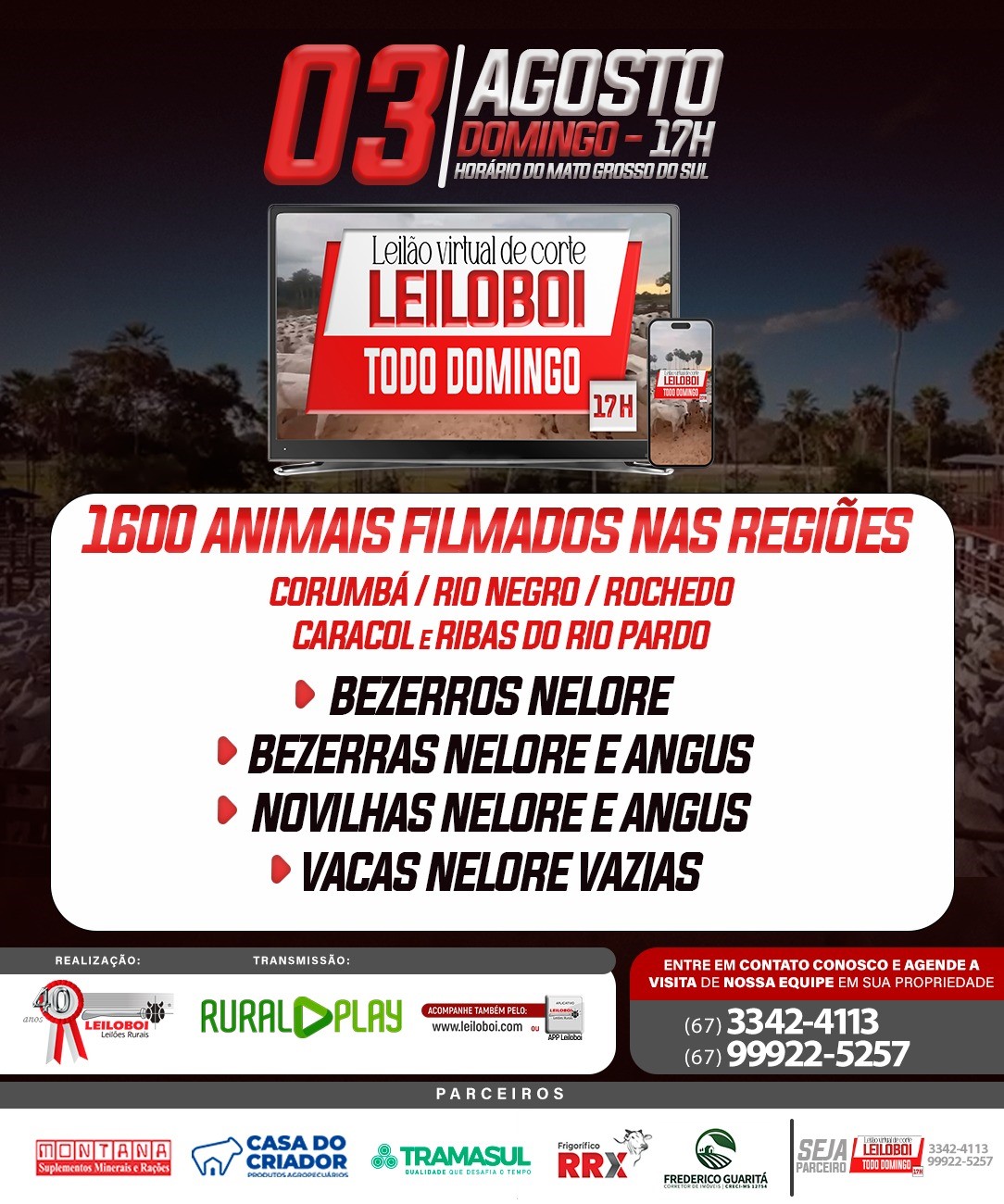 LEILÃO LEILOBOI VIRTUAL DE CORTE