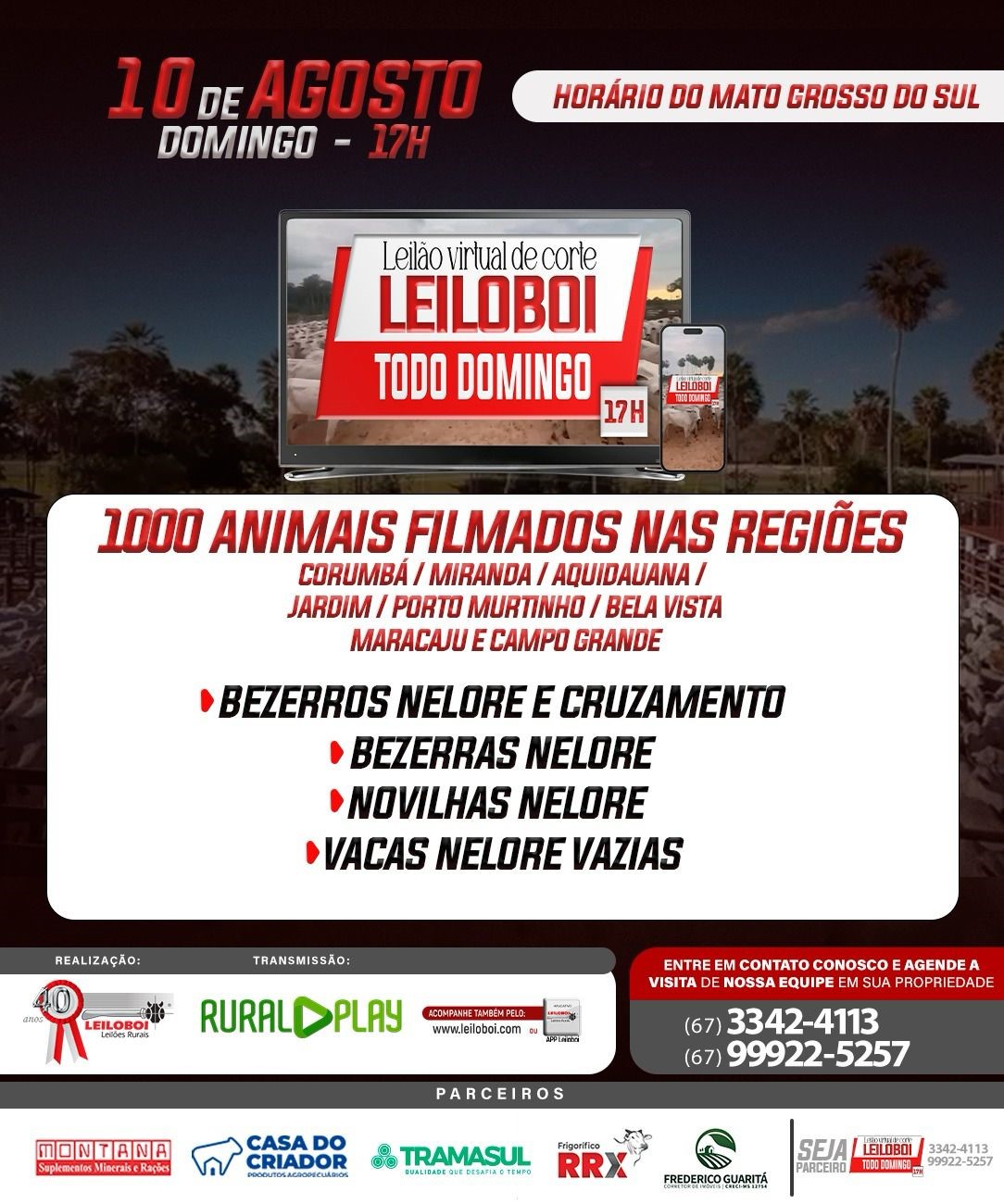 LEILÃO LEILOBOI VIRTUAL DE CORTE