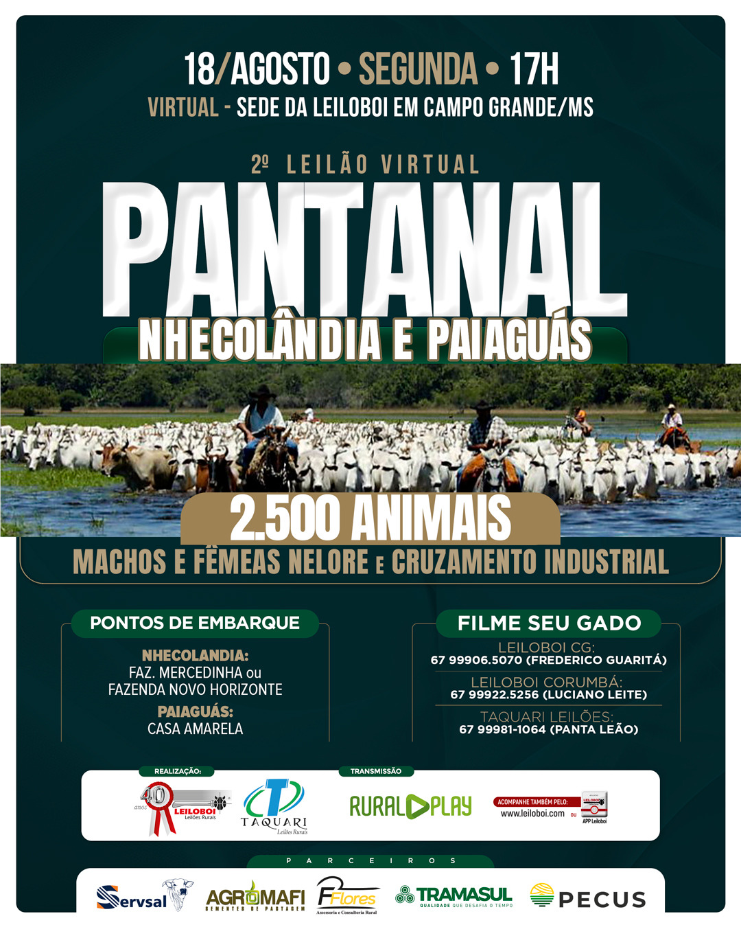 2º LEILÃO VIRTUAL PANTANAL DA NHÊCOLANDIA E PAIAGUÁS 