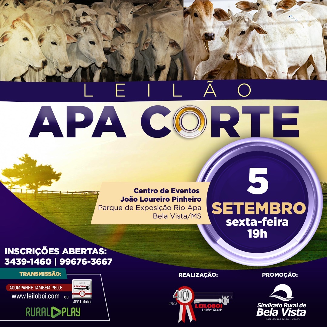LEILÃO APA CORTE - BELA VISTA/MS