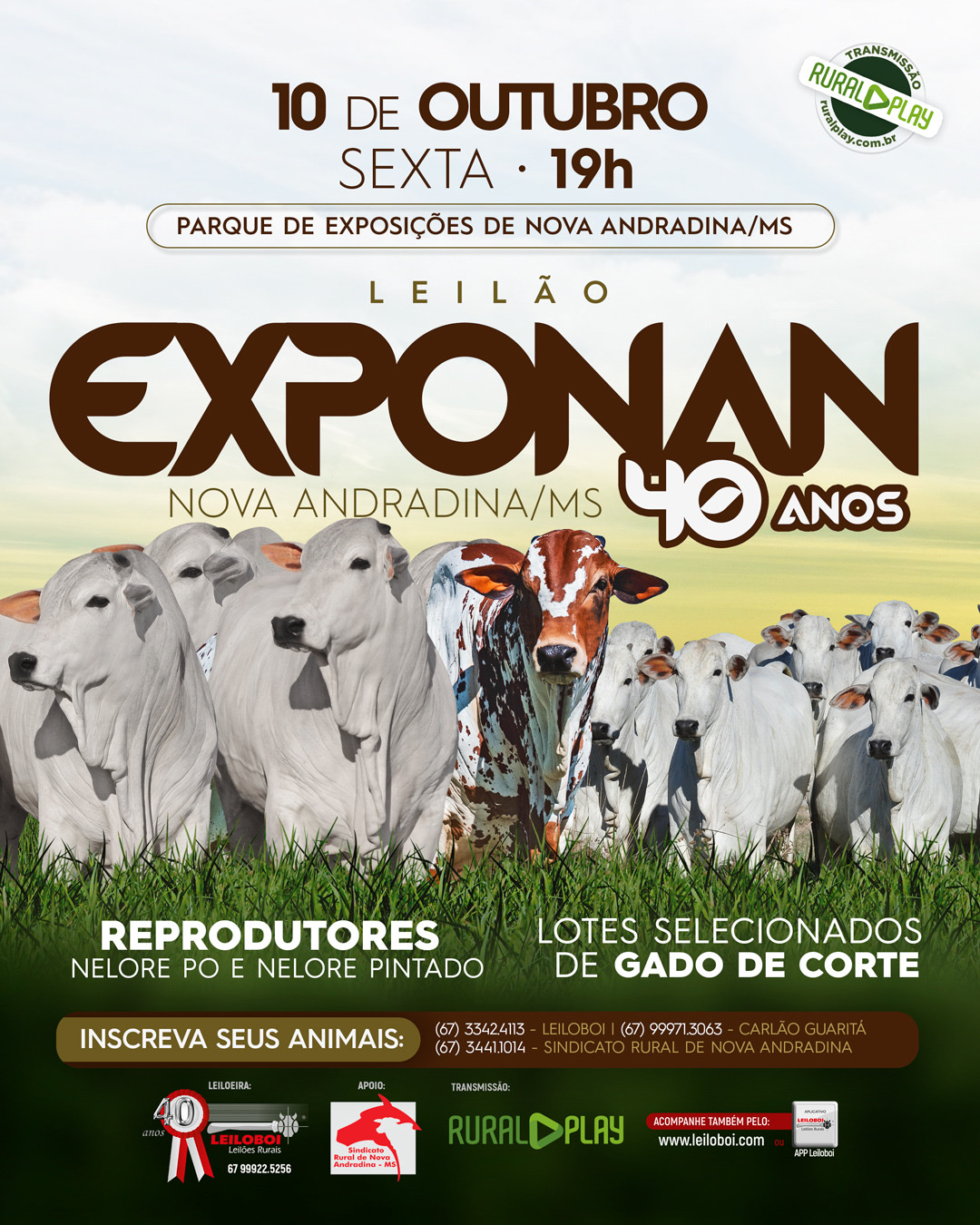 LEILÃO EXPONAN 40 ANOS - NOVA ANDRADINA/MS