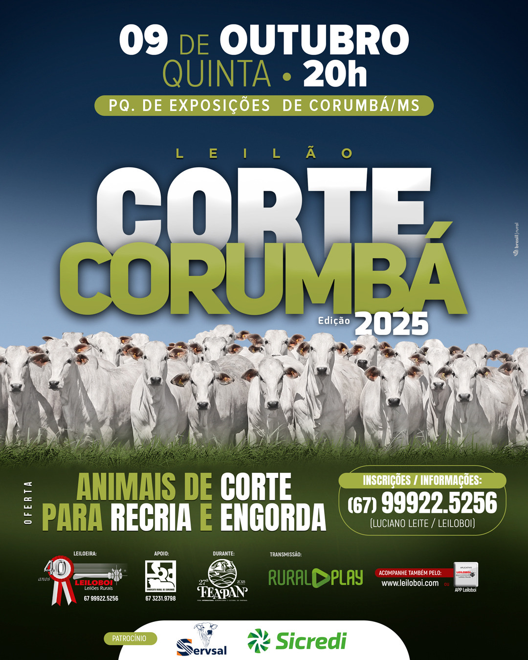 LEILÃO ESPECIAL DE CORTE - FEAPAN 2025
