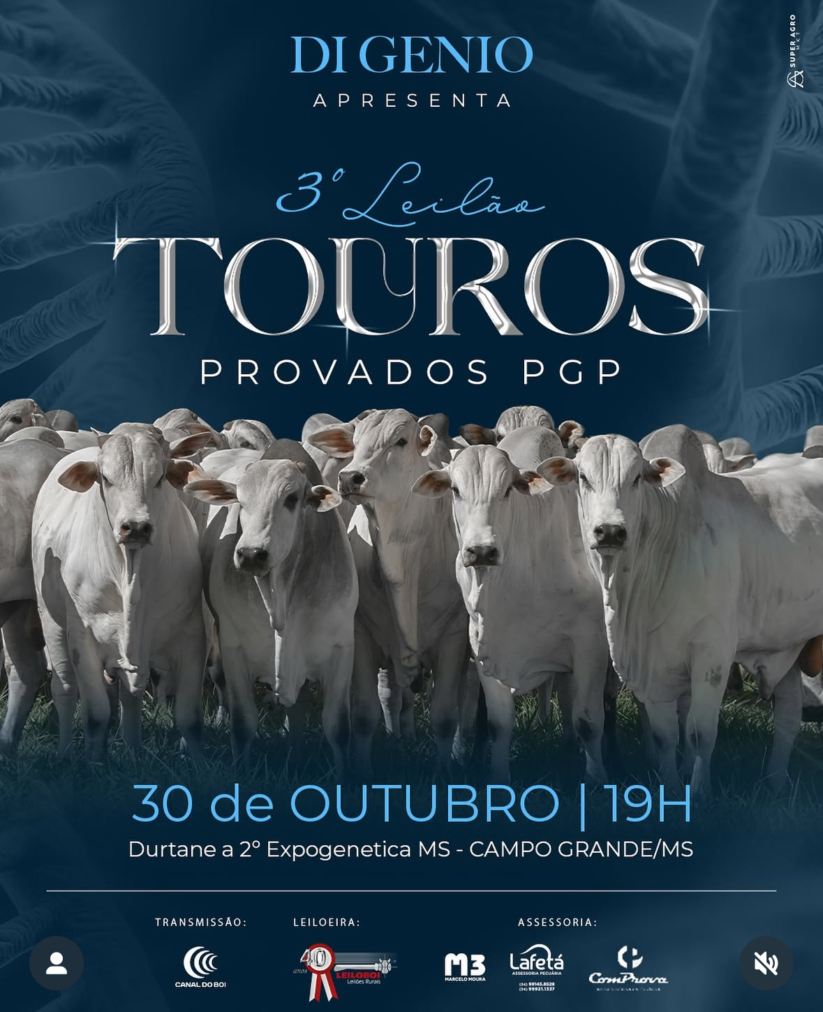 LEILÃO TOUROS PROVADOS PGP DIGENIO - EXPOGENÉTICA 2025