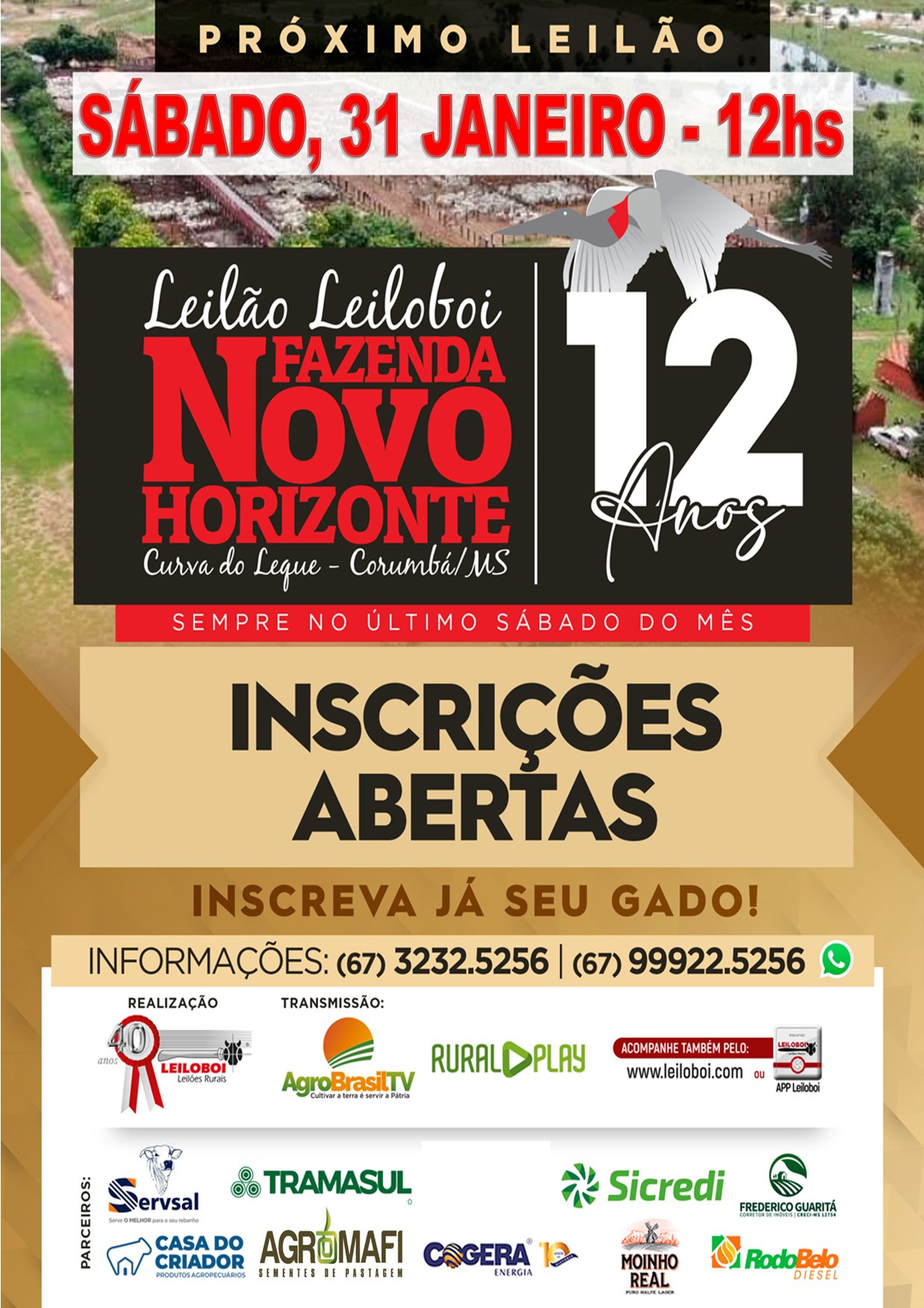 150º LEILÃO FAZENDA NOVO HORIZONTE