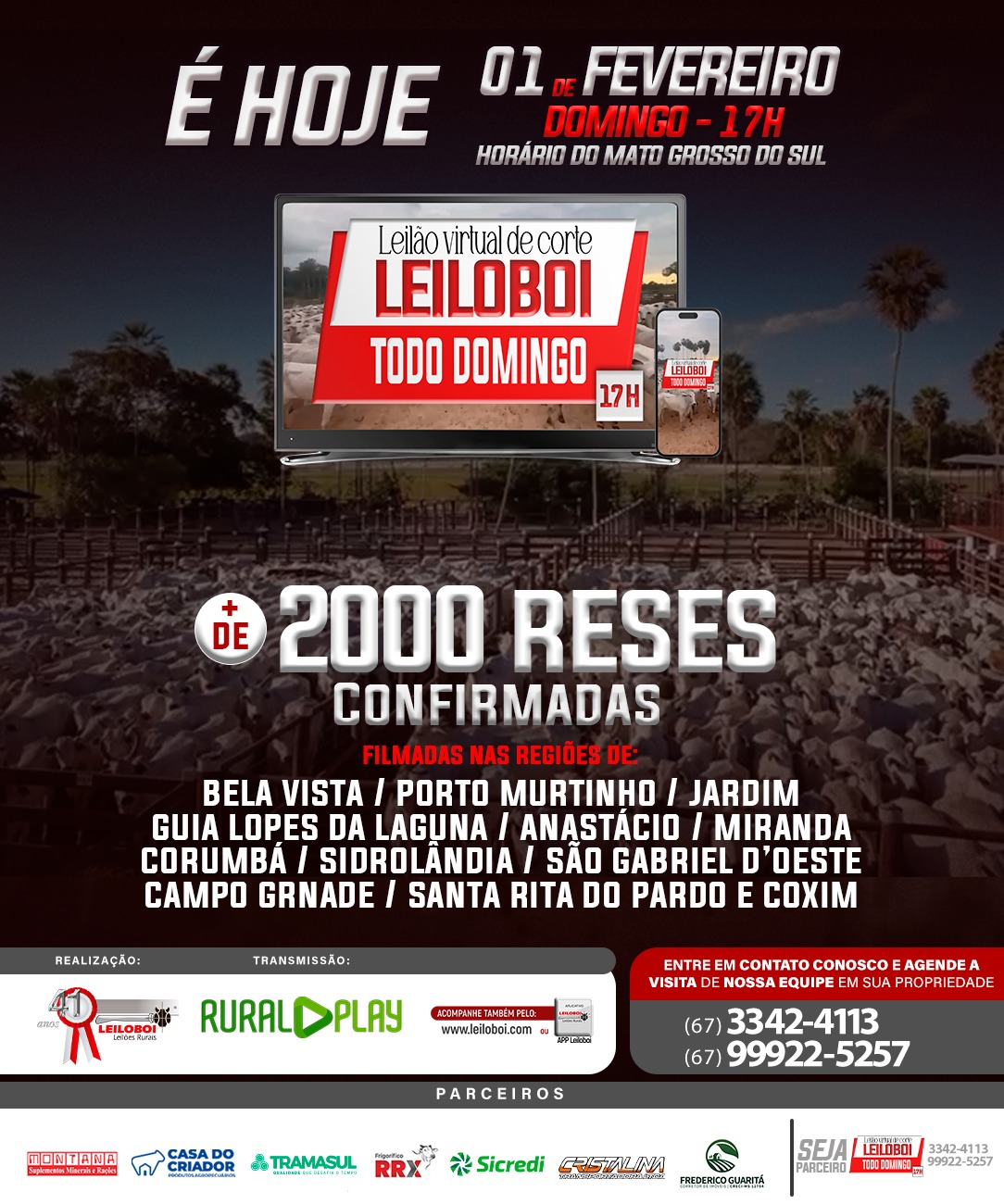 LEILÃO LEILOBOI VIRTUAL DE CORTE
