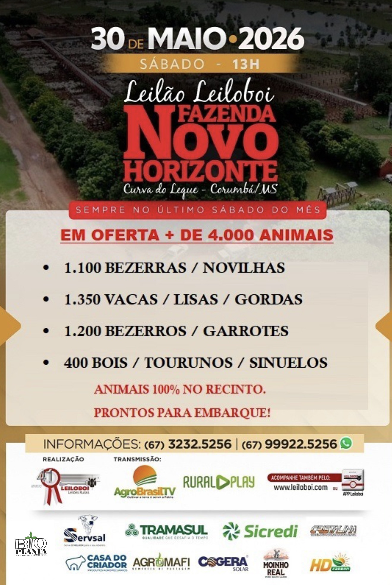154º LEILÃO FAZENDA NOVO HORIZONTE