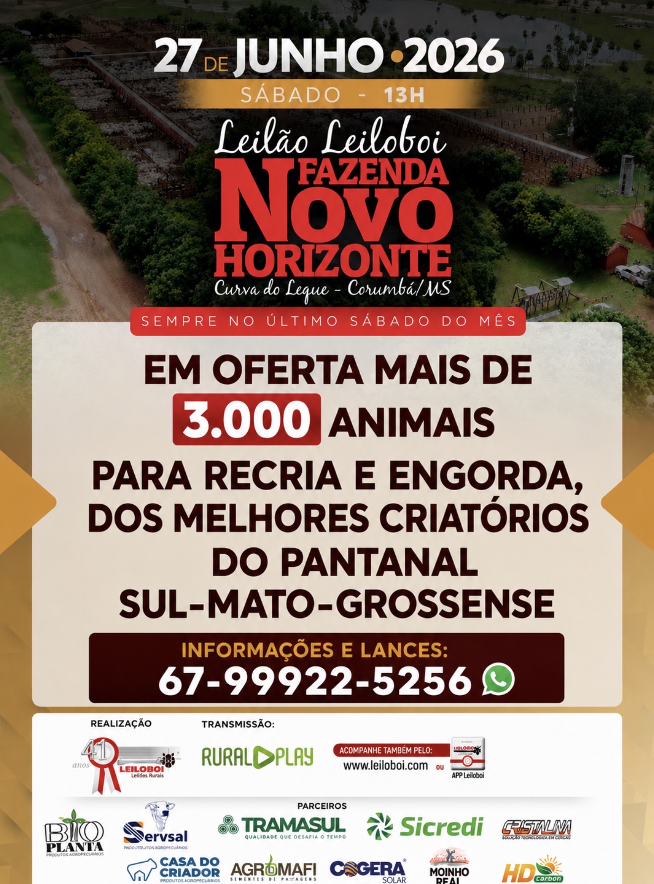 155º LEILÃO FAZENDA NOVO HORIZONTE
