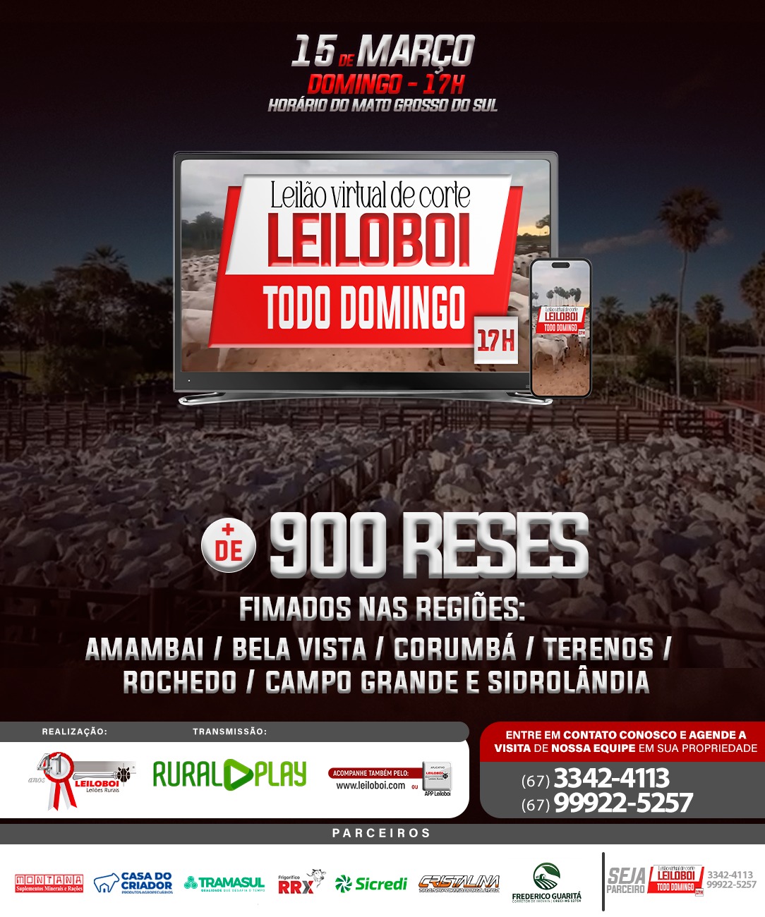 LEILÃO LEILOBOI VIRTUAL DE CORTE