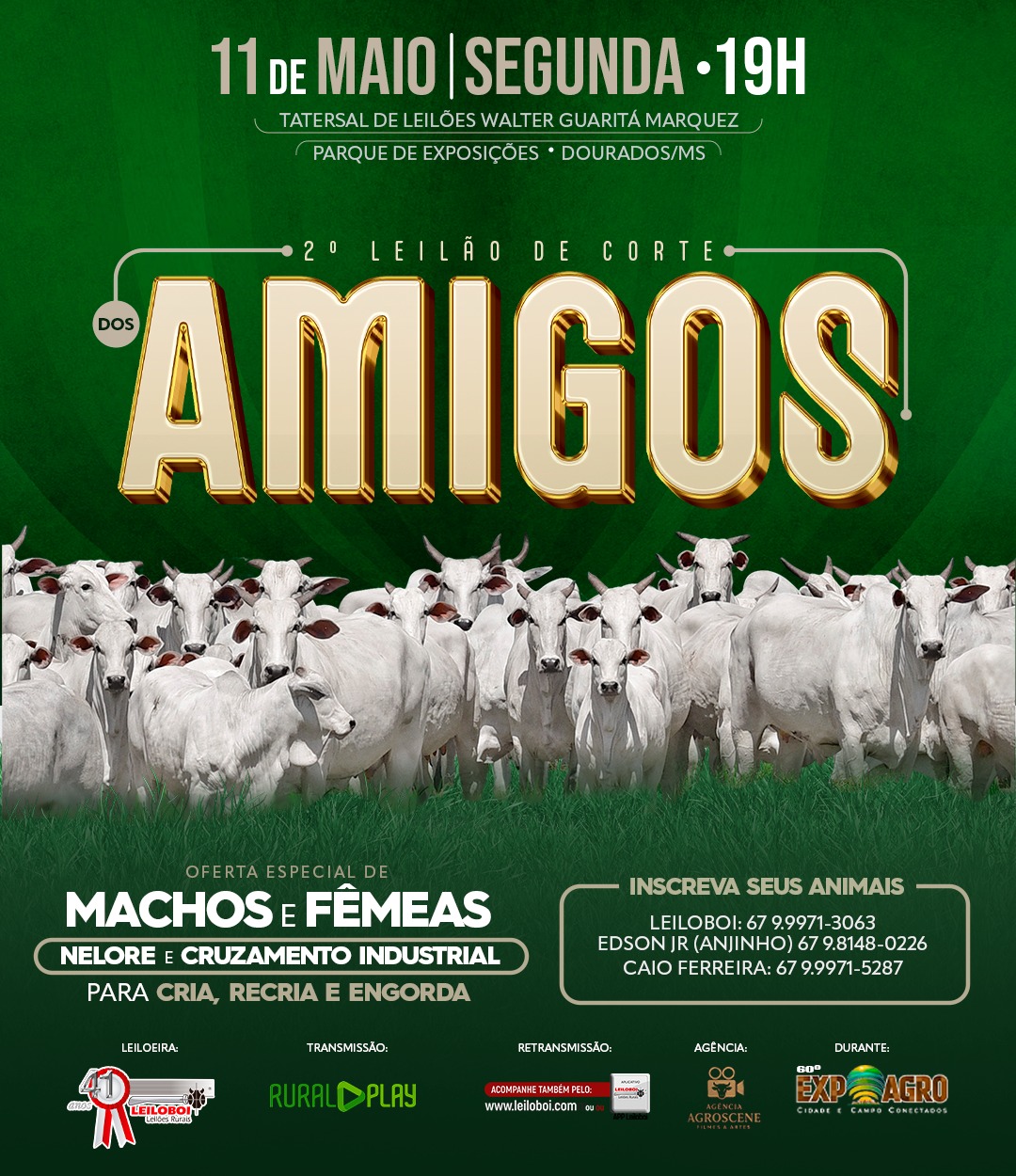 2º LEILÃO DE CORTE DOS AMIGOS - EXPOAGRO 2026